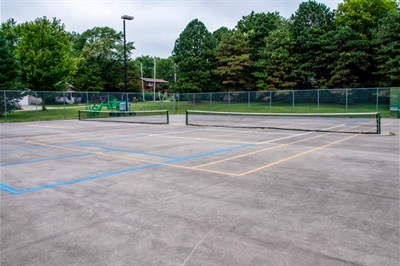 Two pickleball courts are enclosed with a chain link fence. Behind the courts is a line of large evergreen trees.